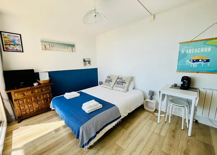 Vue Mer-port * Arcachon